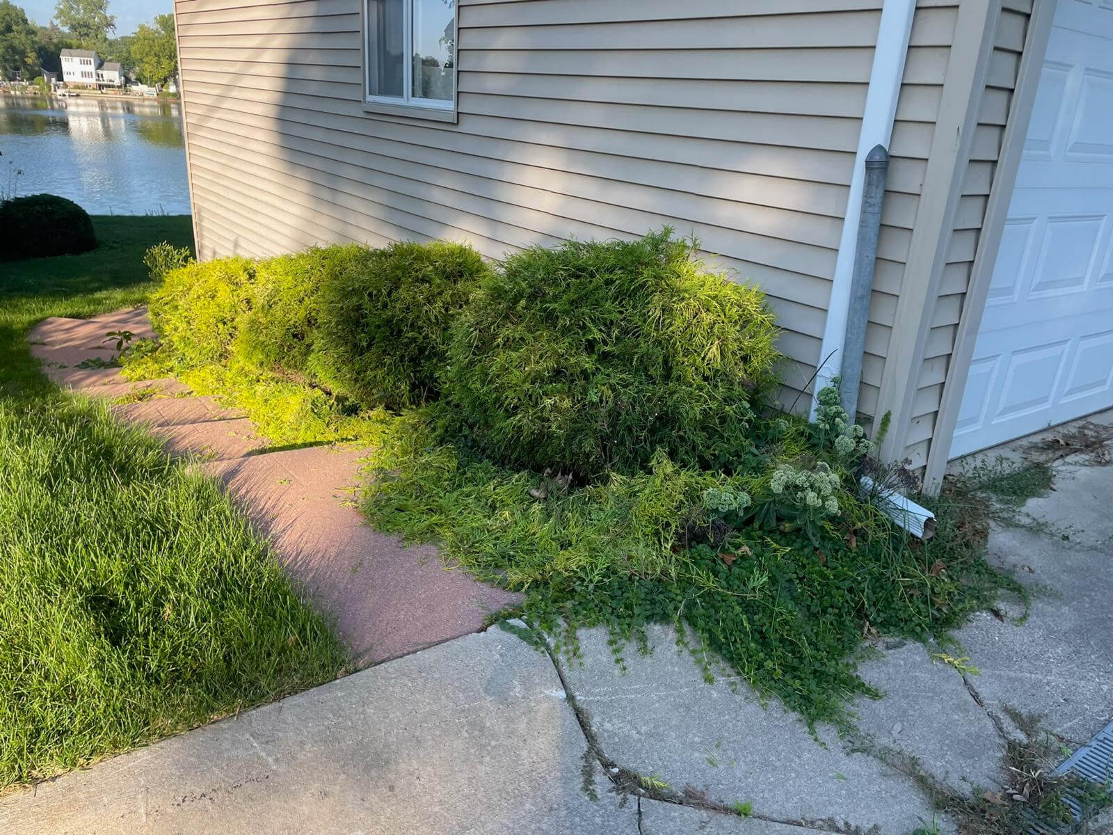 Livingston & Howell Landscaping Services 08
