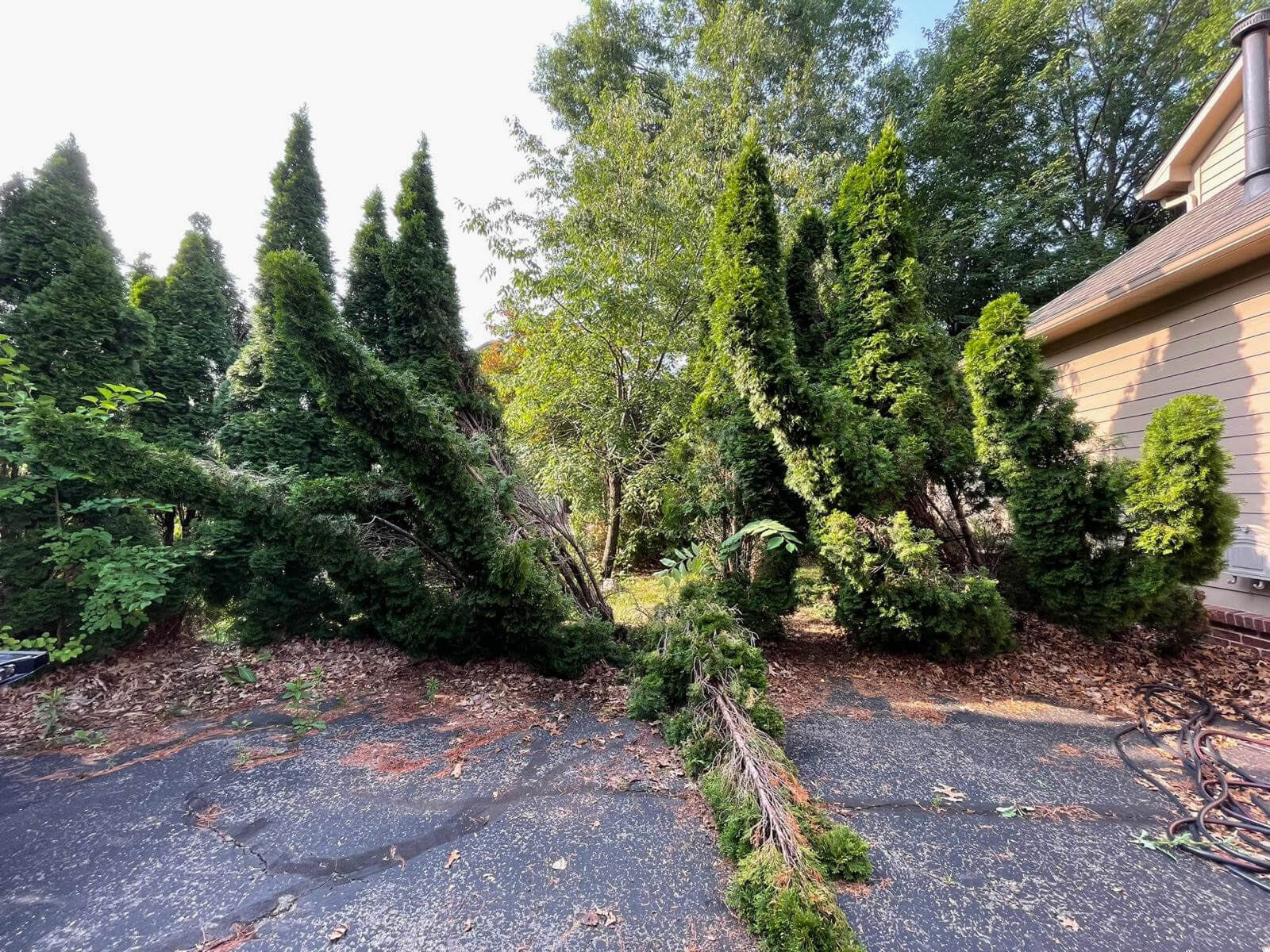 Livingston & Howell Landscaping Services 10