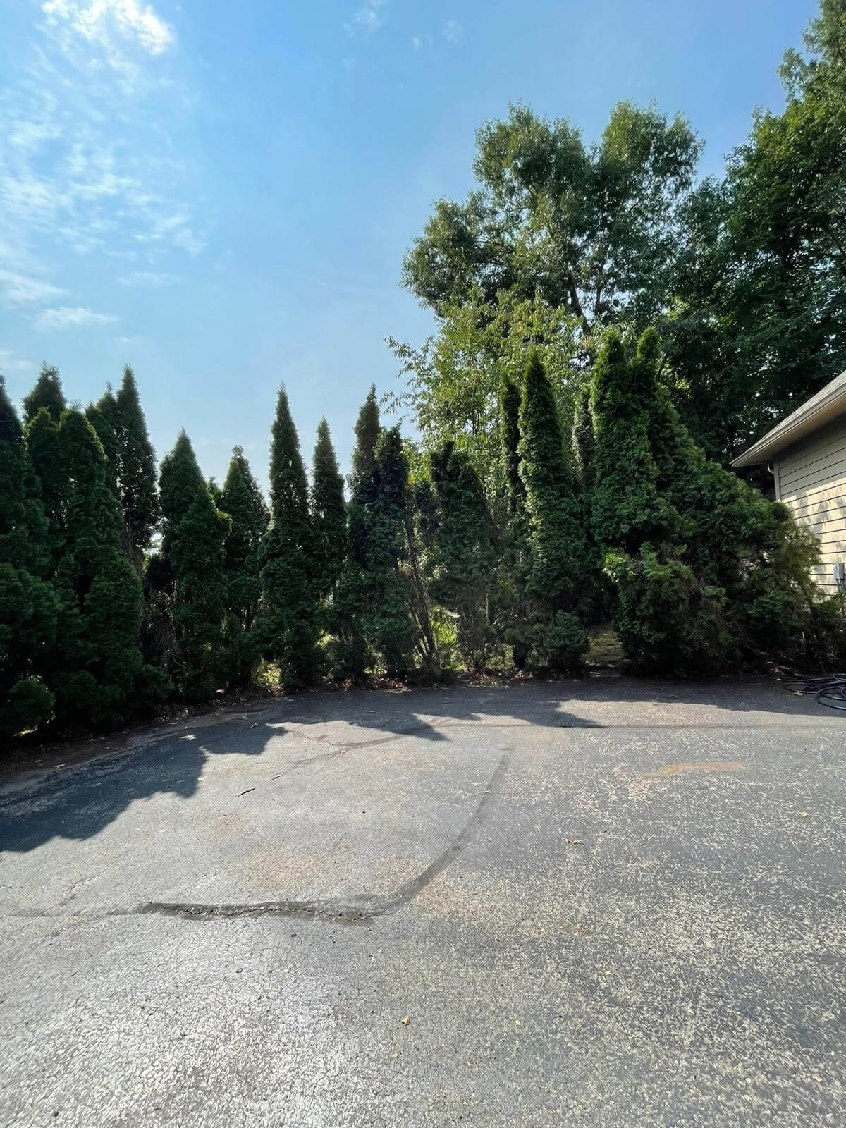 Livingston & Howell Landscaping Services _ TJH Outdoor LLC 0808