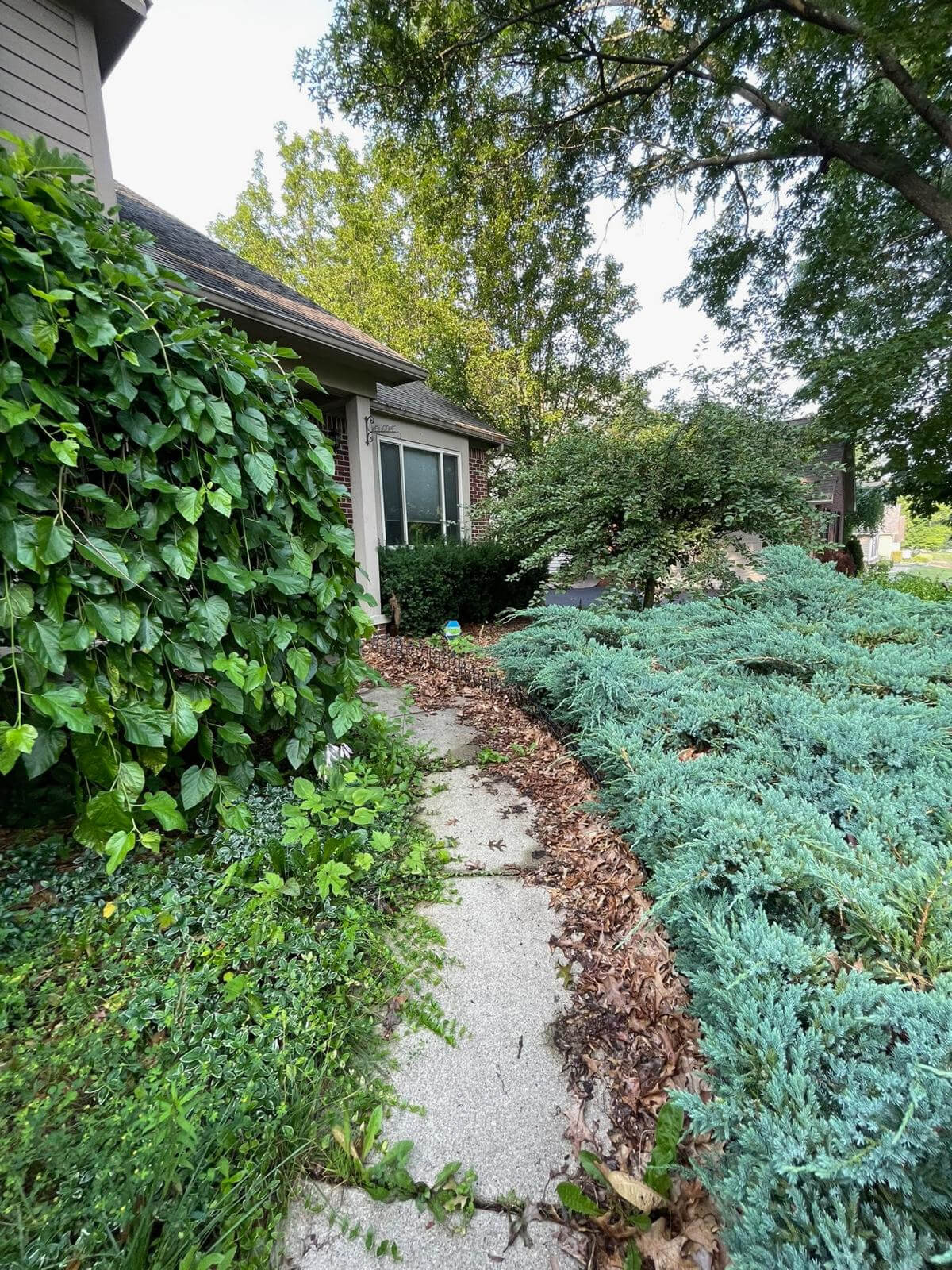 Livingston & Howell Landscaping Services _ TJH Outdoor LLC 0909